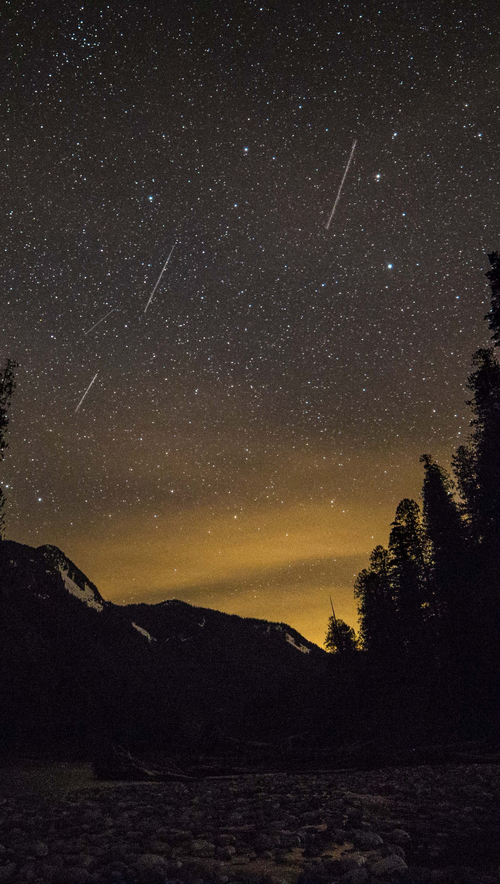 Céu estrelado com algumas estrelas e algumas árvores. (aventura, calmo, boa noite, natureza, noite)