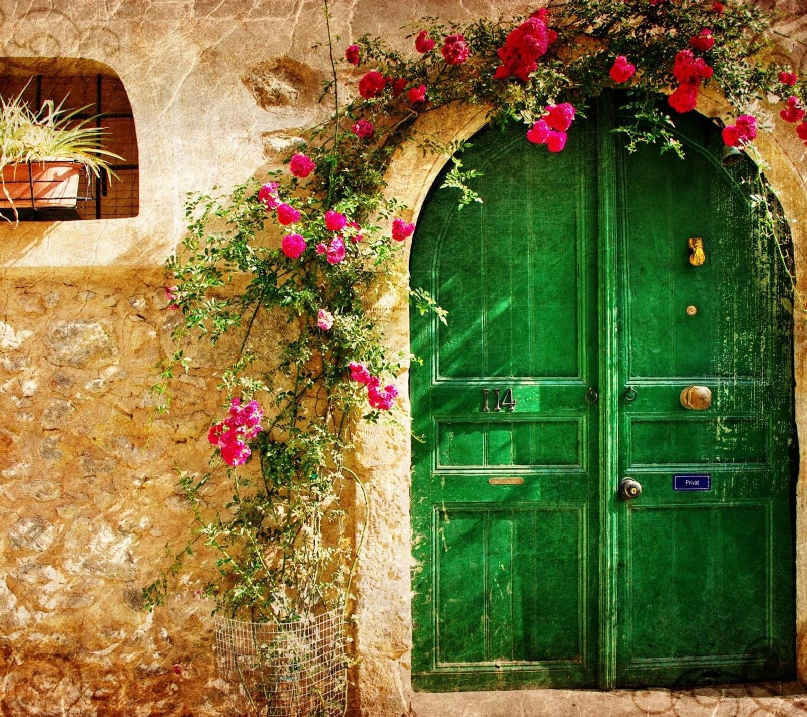 A close up of a green door with a plant growing on it (door, flowers, house)