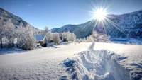 Winter Wonderland: Sunlit Snow-Covered Mountains and Serene Wilderness