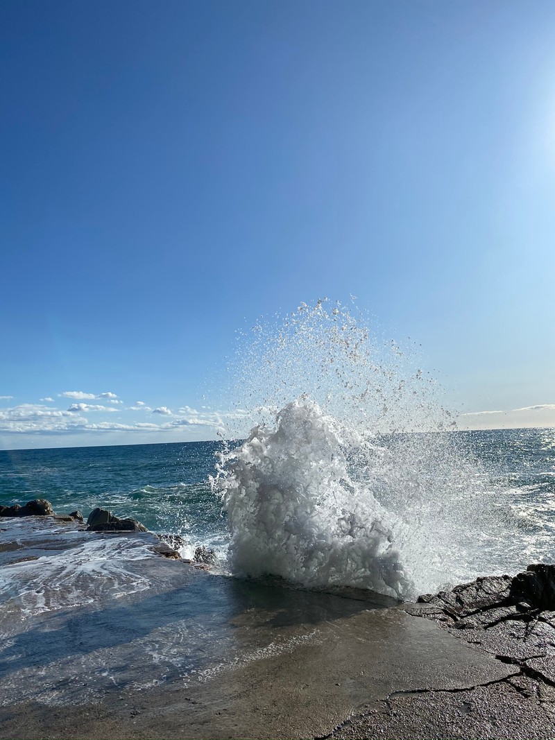 Жираф, плещущийся на скалах пляжа с ясным голубым небом (море, вода, океан, мыс, водоем)