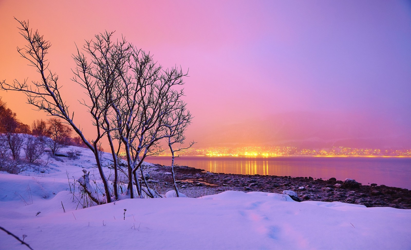 Una vista de un atardecer sobre un cuerpo de agua con árboles en primer plano (invierno, noruega, nieve, naturaleza, árbol)