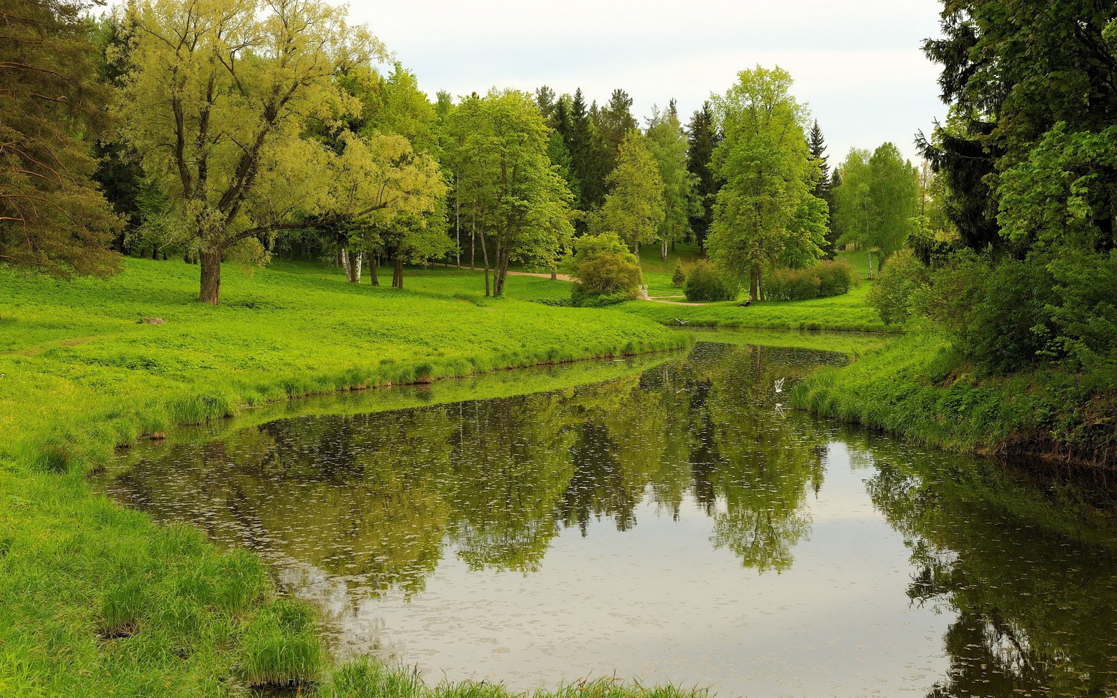 Uma vista de um rio correndo por um campo verde exuberante (natureza, reserva natural, reflexo, árvore, banco)