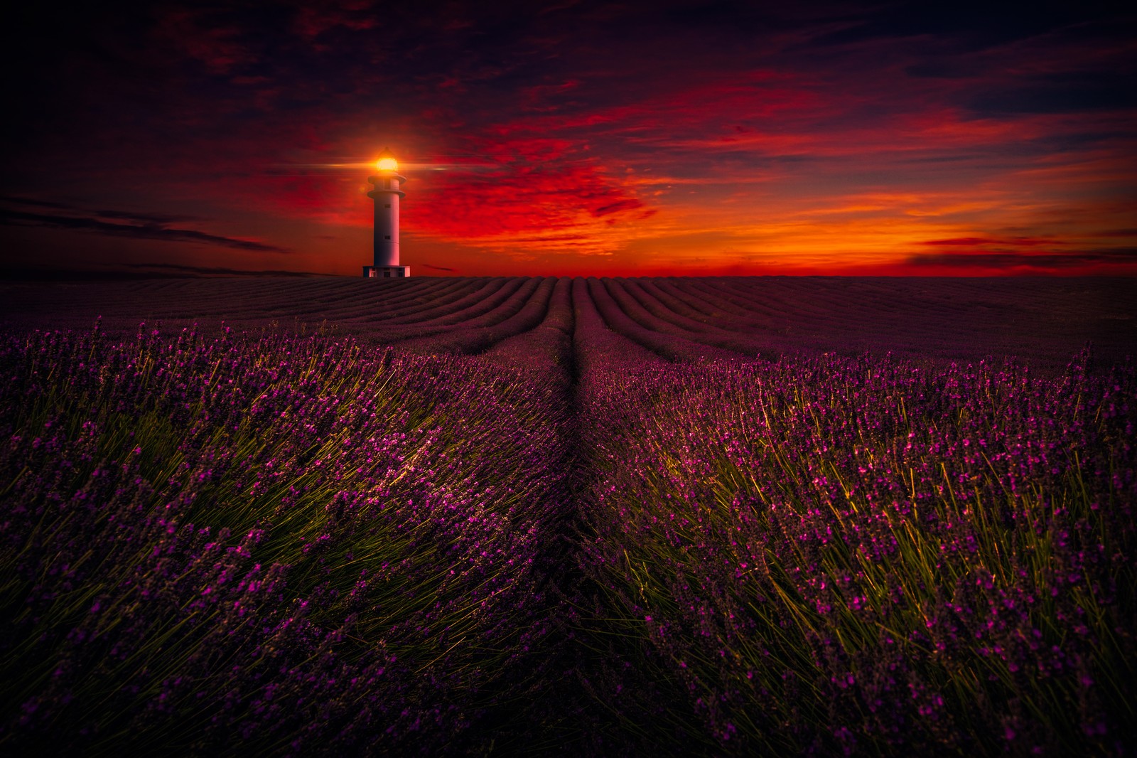 Un faro en un campo de lavanda al atardecer (atardecer, campos de lavanda, faro, cielo naranja, flores de lavanda)