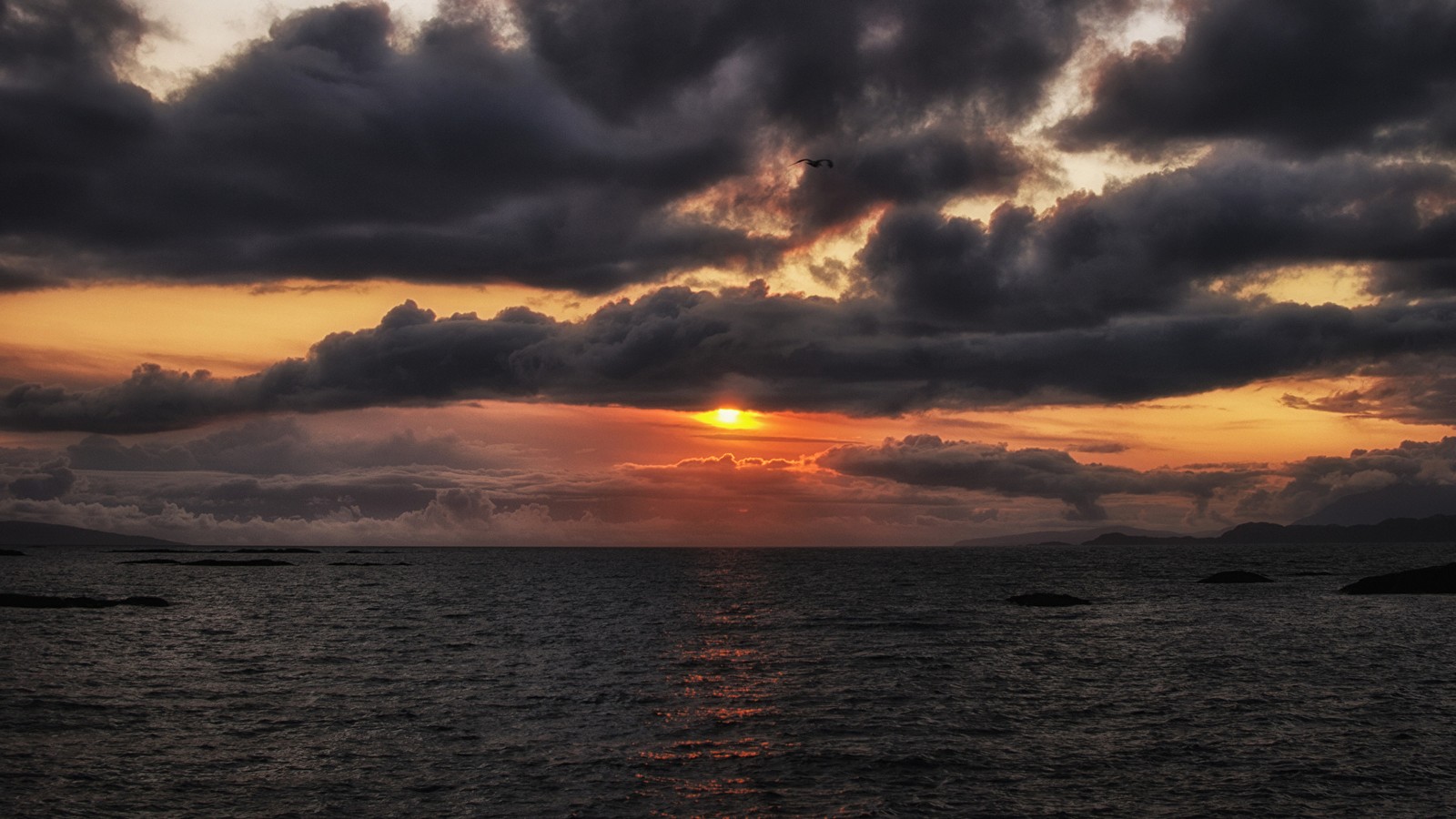 Vue arabe d'un coucher de soleil sur l'océan avec un oiseau volant dans le ciel (coucher de soleil, horizon, nuage, mer, lever de soleil)