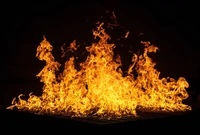 Intense Flames Dancing Against a Dark Background