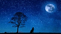 moon, nature, night, moonlight, star wallpaper