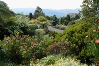 jardin botanique, jardin, végétation, broussaille, réserve naturelle