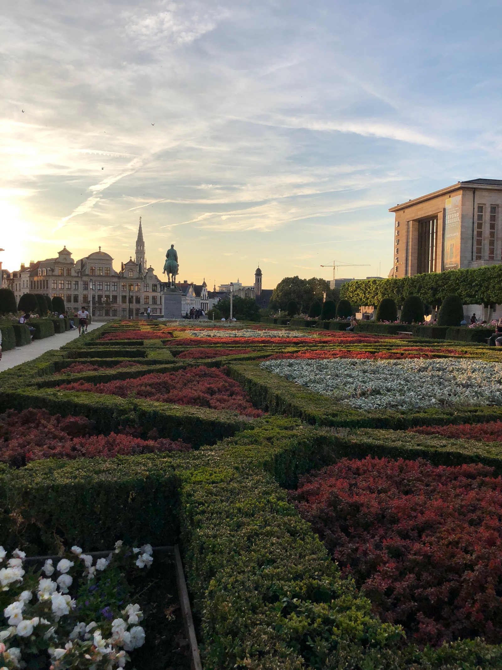 Há um grande jardim com muitas flores (planta, arbusto, nuvem, jardim, paisagem)