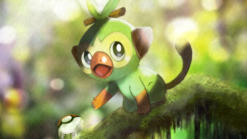 Обои покемонов - обои покемонов - обои покемонов (груки, grookey, покемон меч и щит, pokemon sword and shield, видеоигра)