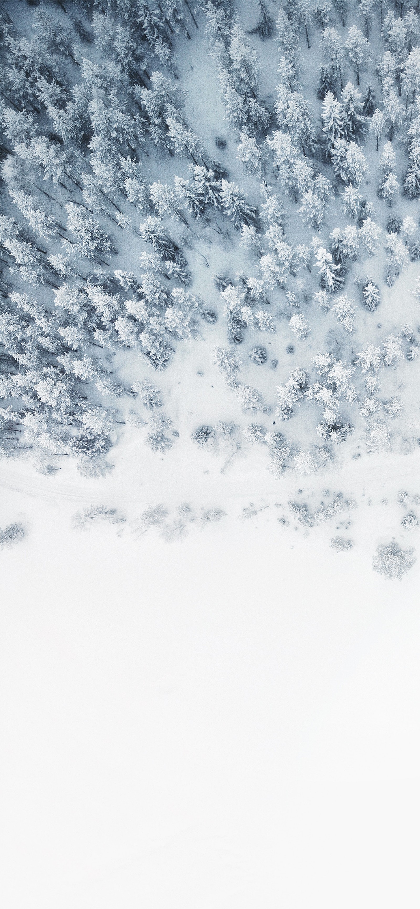 Um homem andando de snowboard em uma superfície nevosa (2021, azul, branco, padrão, prata)