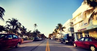 Cena de rua vibrante de South Beach com palmeiras e infraestrutura urbana