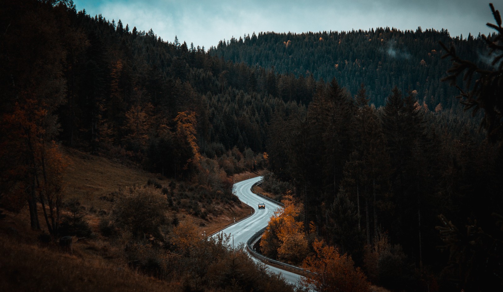 Lade natur, wildnis, baum, wald, berg Hintergrund herunter