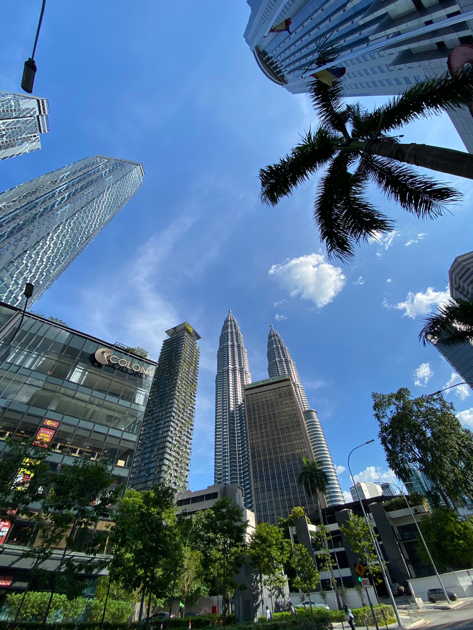 Edifícios altos em uma cidade com palmeiras e céu azul. (torres petronas, kuala lumpur, dia, arquitetura, bloco de torre)