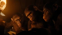 Apes in Reflection: A Pivotal Moment from 'Kingdom of the Planet of the Apes'