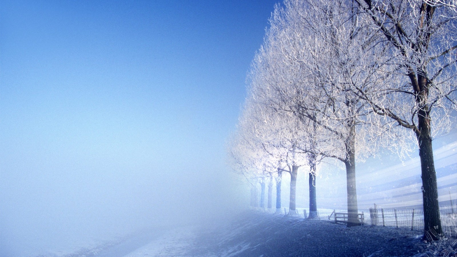 Les arbres sont couverts de neige et de givre par un jour brumeux (hiver, neige, arbre, gel, atmosphère)