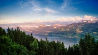 Vistas tranquilas do Lago de Zurique cercado por majestosas montanhas e florestas exuberantes