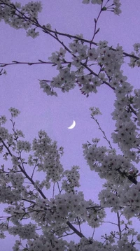 Delicadas flores blancas enmarcadas por un cielo púrpura y una luna creciente