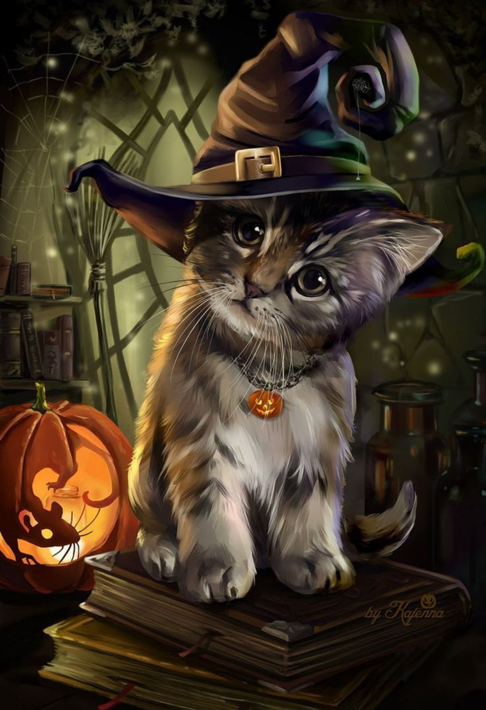 black, cat, cats, cute, halloween Download Wallpaper