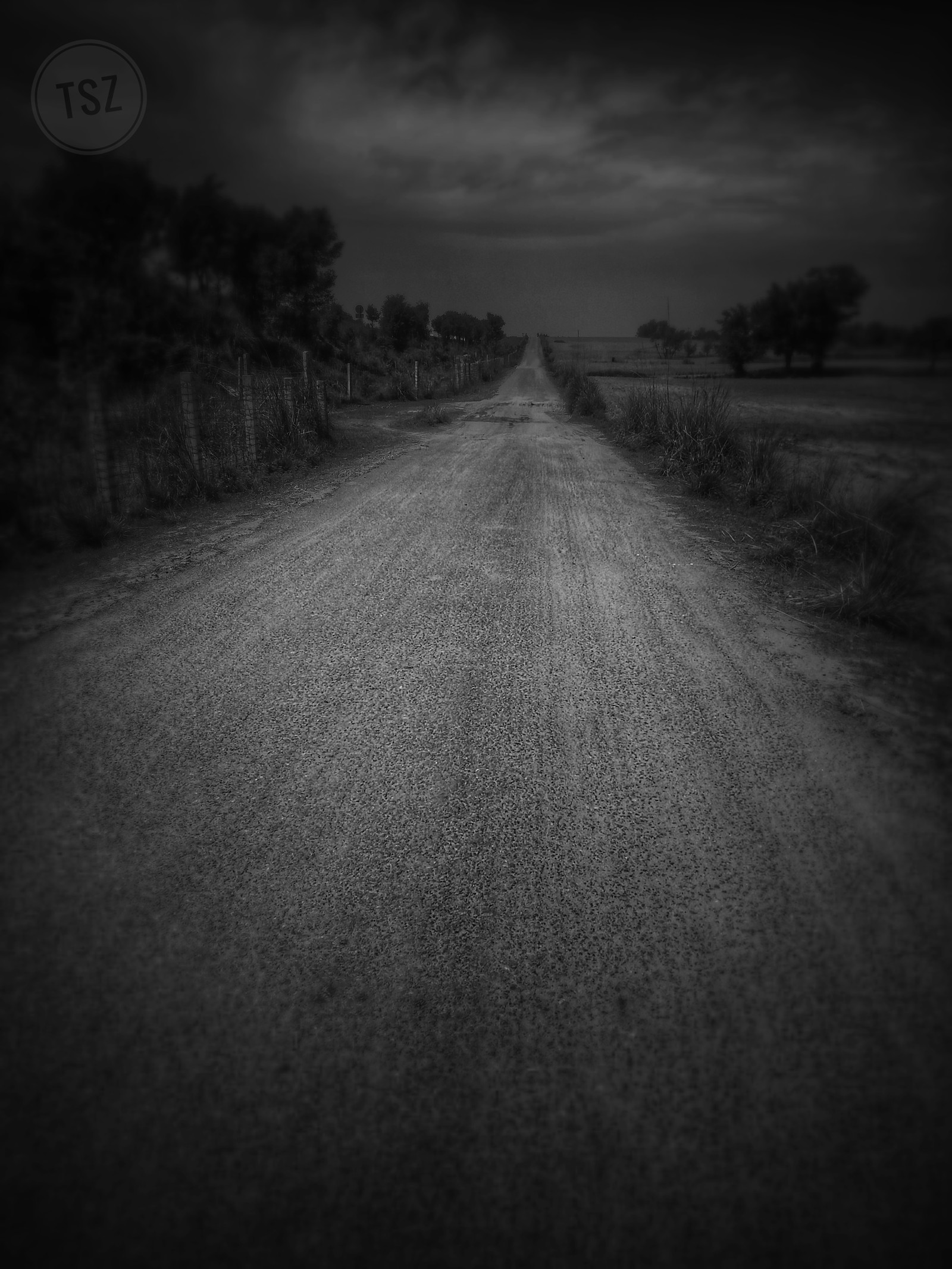 A black and white photo of a dirt road with a fence (black and white, lonely, road, street, tsz)