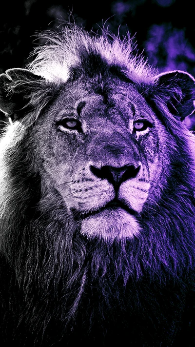 king, lion