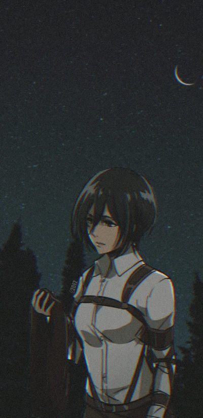 attack on titan, mikasa