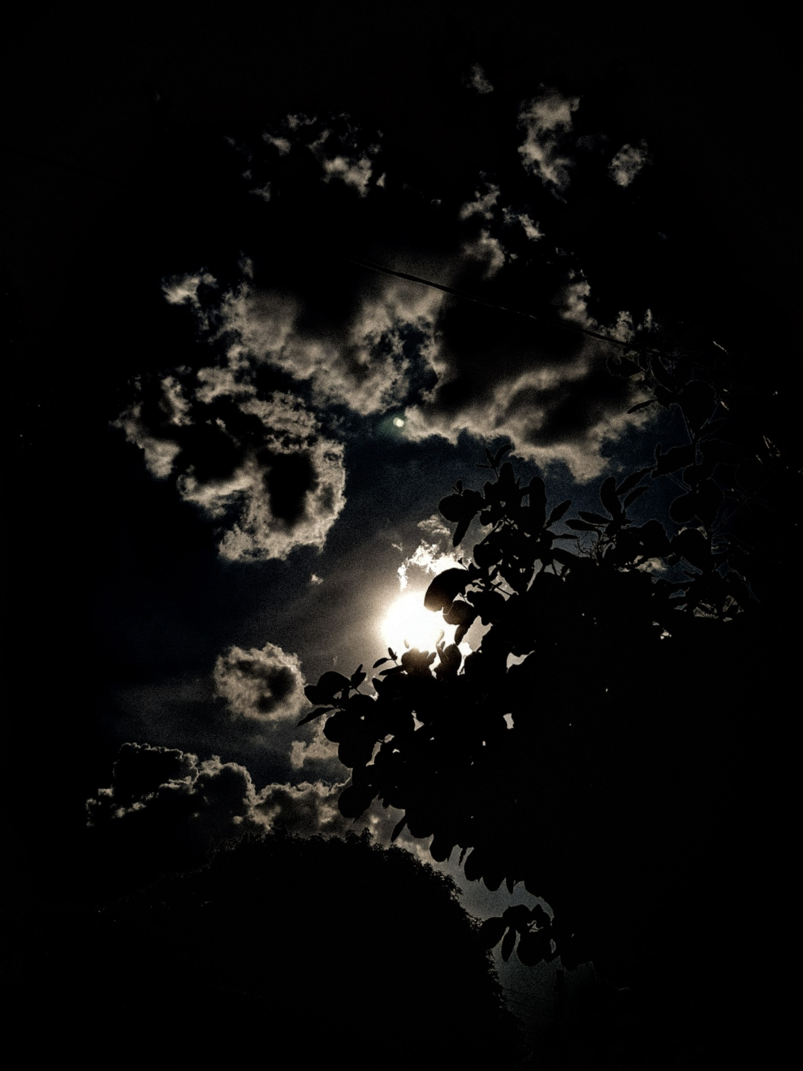 Vista árabe de uma lua cheia com nuvens e uma árvore (escuridão, lua, nebuloso, noite, noche)