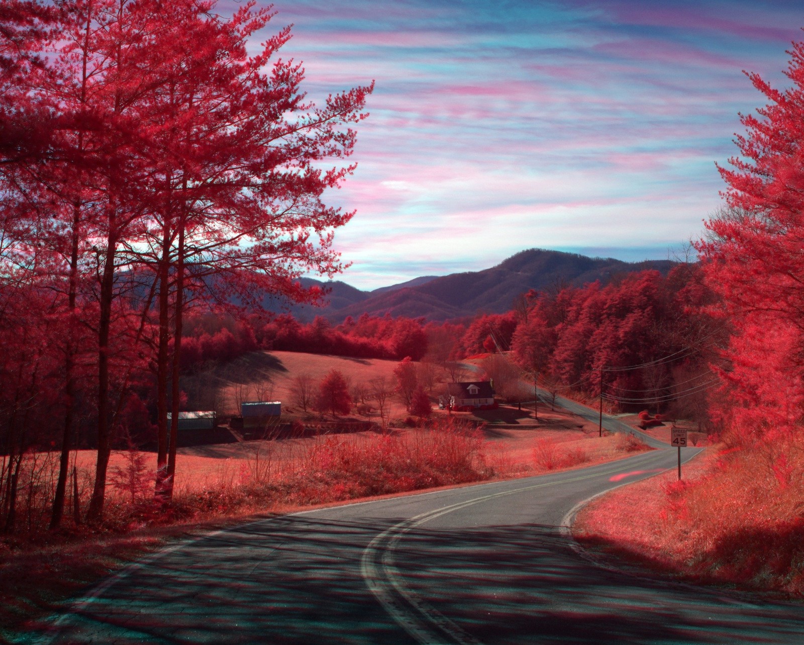 Arafed view of a country road with a red tree in the foreground (road, tree)