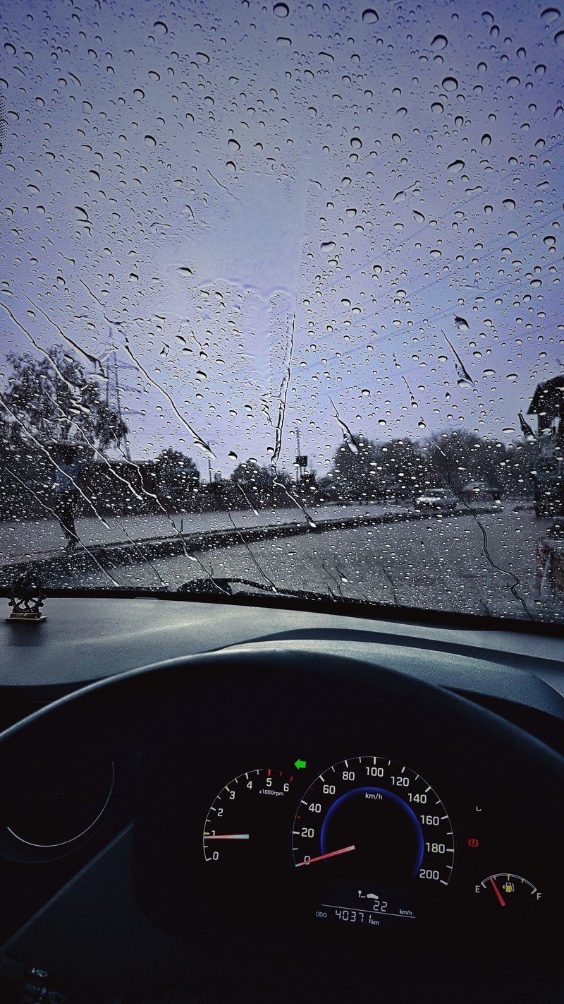 Arafed view of a dashboard with raindrops on the windshield (black, dog)