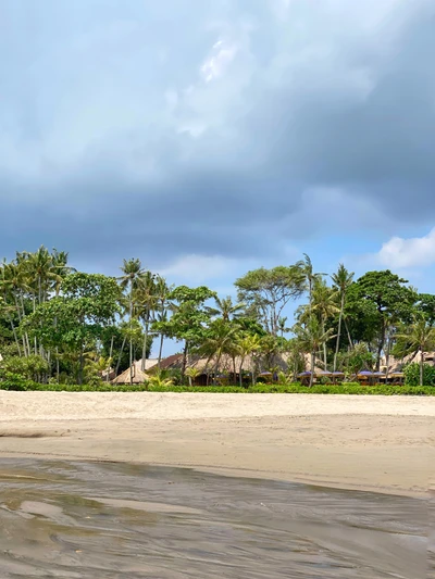 Tropical Beach Oasis with Palm Trees Under Cumulus Clouds