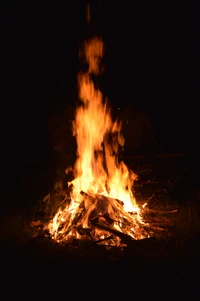 Enchanting Night Bonfire: Flames Dancing Under the Starry Sky