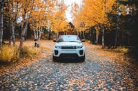 Aventure d'automne : Land Rover dans un paysage d'automne vibrant