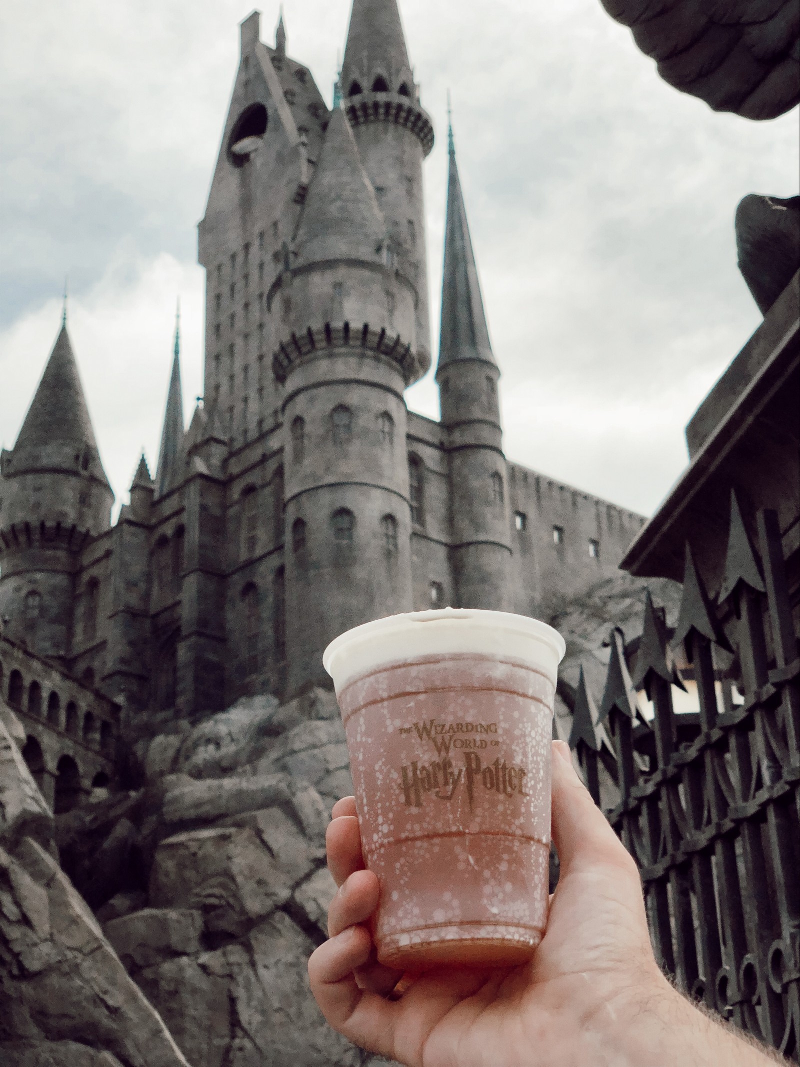 Someone holding a cup of ice cream in front of a castle (hogwarts, spire, castle, steeple, turret)