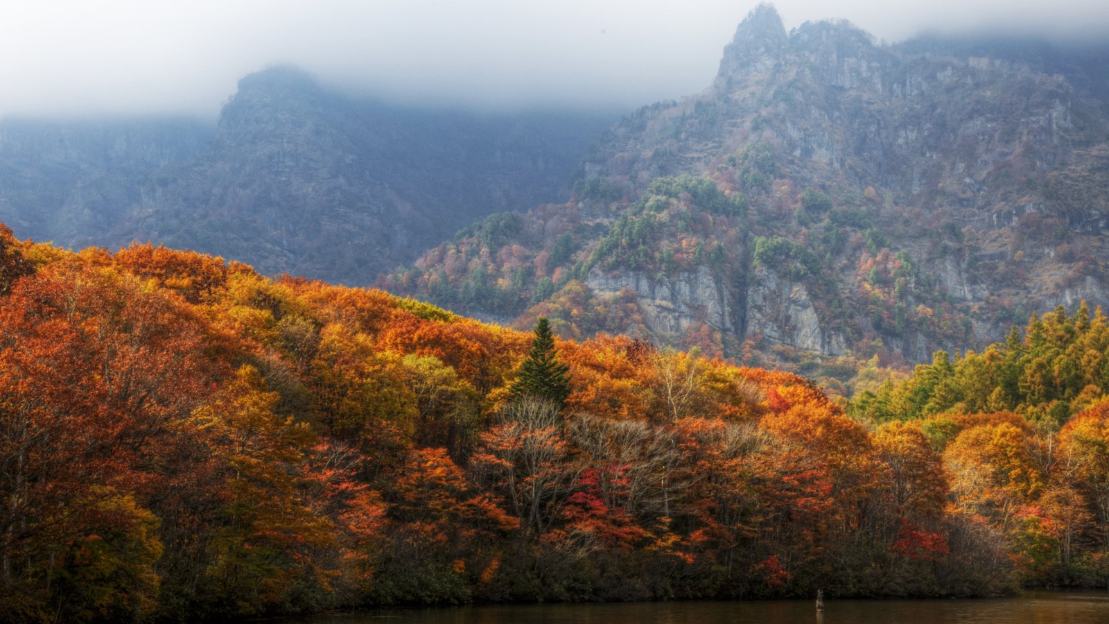 As árvores estão em primeiro plano e uma montanha ao fundo (natureza, formas montanhosas, montanha, folha, wild)