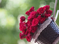 Vibrant Red Hybrid Tea Roses in a Woven Basket