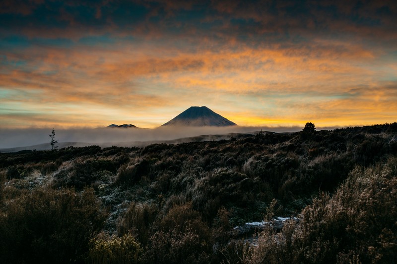 Гора с облачным небом и несколькими кустами (новая зеландия, new zealand, природа, гора, облако)