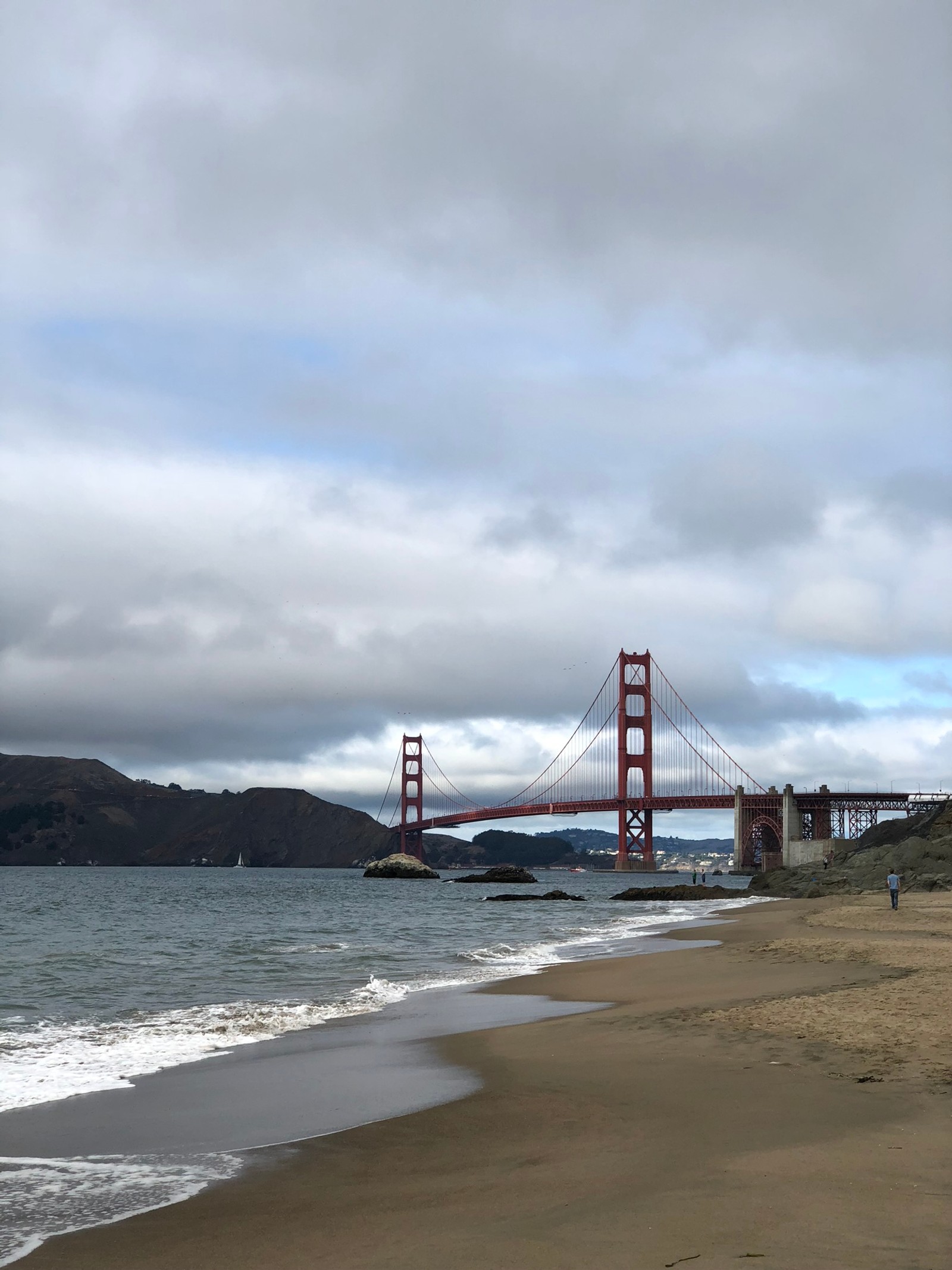 Jirafas volando una cometa en la playa cerca del agua (san francisco, mar, costa, agua, física)