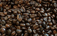 Grãos de café Blue Mountain da Jamaica: mercadoria rica e saborosa