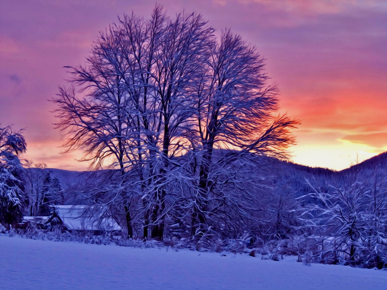 Schneebedeckte bäume im vordergrund eines sonnenuntergangs mit pinkem himmel (winter, schnee, natur, baum, gefrieren)