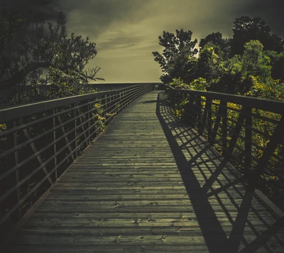 Shadowy Bridge Through Dark Trees