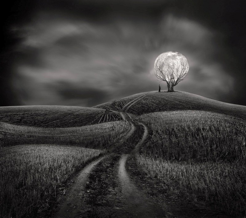 A black and white photo of a lone tree on a hill (dark, night)