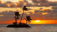 Sereno atardecer sobre un oasis isleño