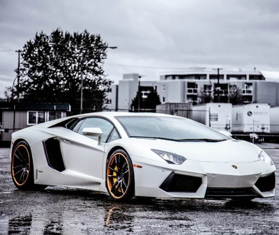 2013, carro, legal, hd, lamborghini