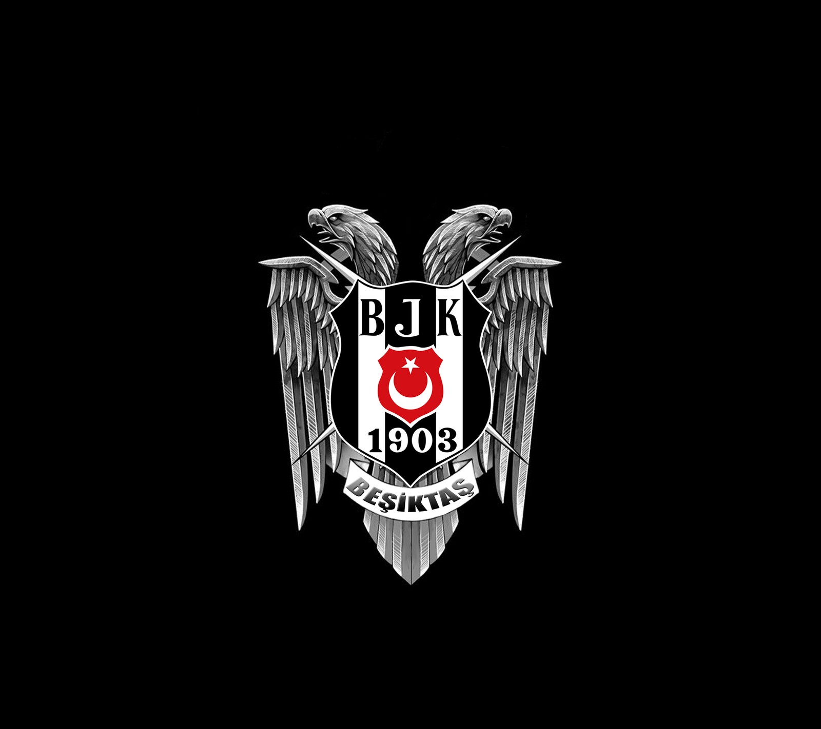 Nahaufnahme eines schwarz-weißen logos mit zwei vögeln (besiktas, bjk, schwarz, adler, harley davidson)