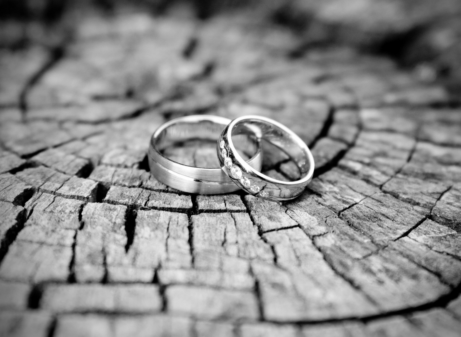 Dos anillos de boda sentados sobre un trozo de madera (fondo, oro, amor, anillos, romántico)