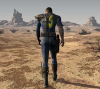 Vault Dweller auf der Reise durch das Ödland