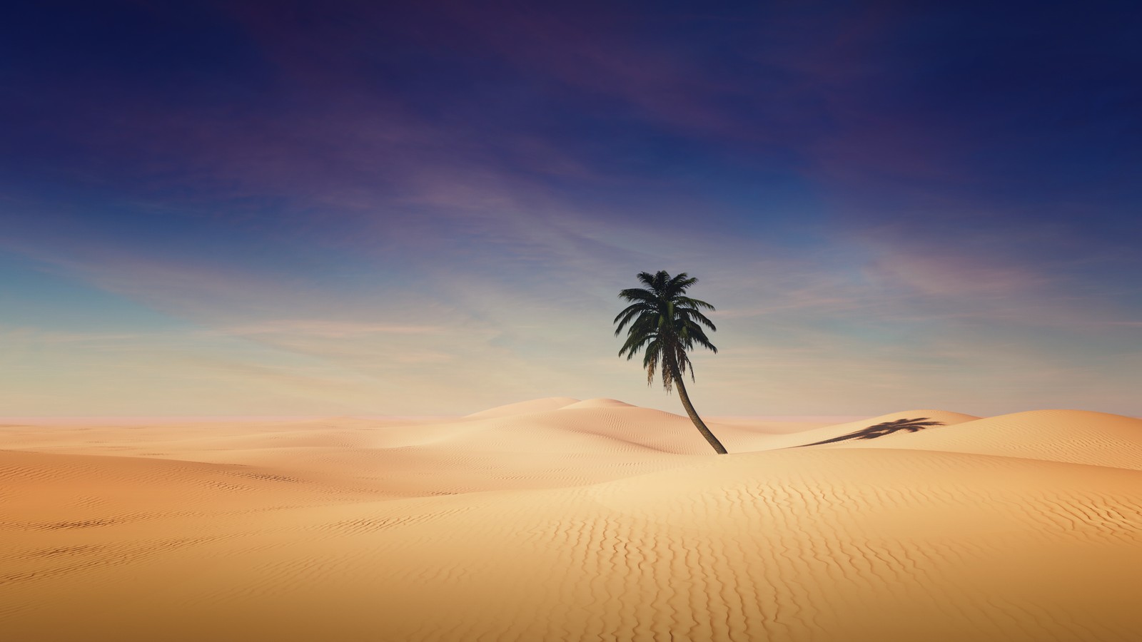 Uma única palmeira no deserto com um céu azul (deserto, paisagem, cenário)