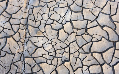 Intricate Patterns of Drought-Stricken Soil