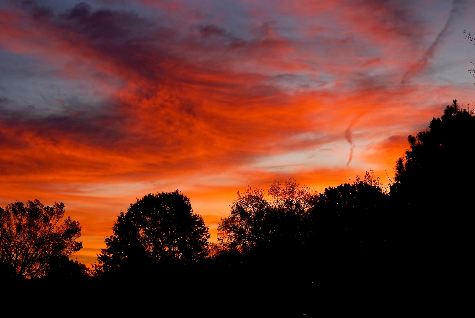 Ciel arafed avec quelques nuages et des arbres au premier plan (coucher de soleil, crépuscule, nuage, nature, lever de soleil)