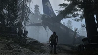 Survivor Amidst Abandoned Aircraft in a Foggy Wilderness