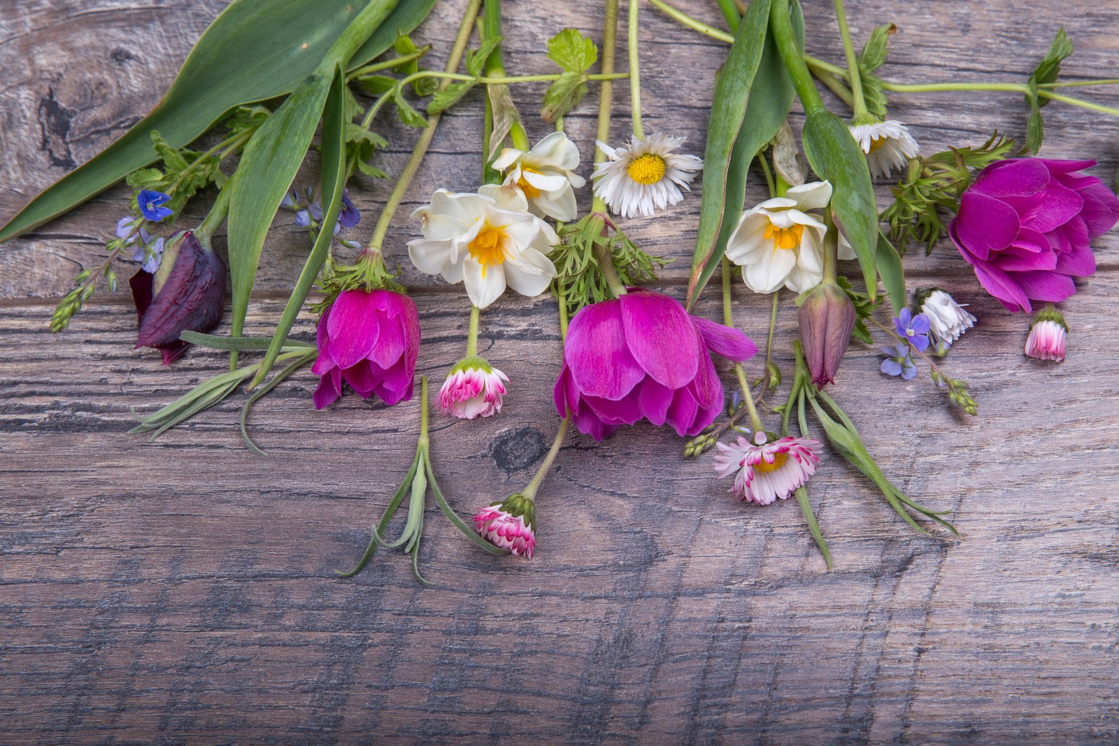 Blumen auf einem holztisch mit einem grünen blatt und lila blumen (flora, blumendesign, blume, schnittblumen, violett)